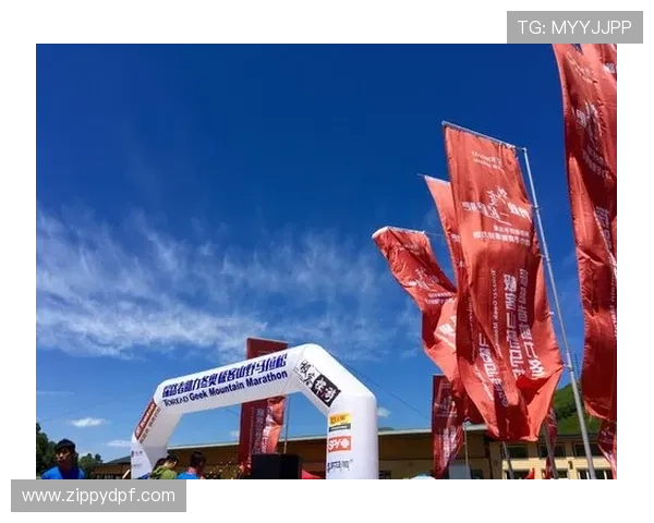 全面解析AOA体育会员注册的常见问题与解决方案助力新手顺利入门